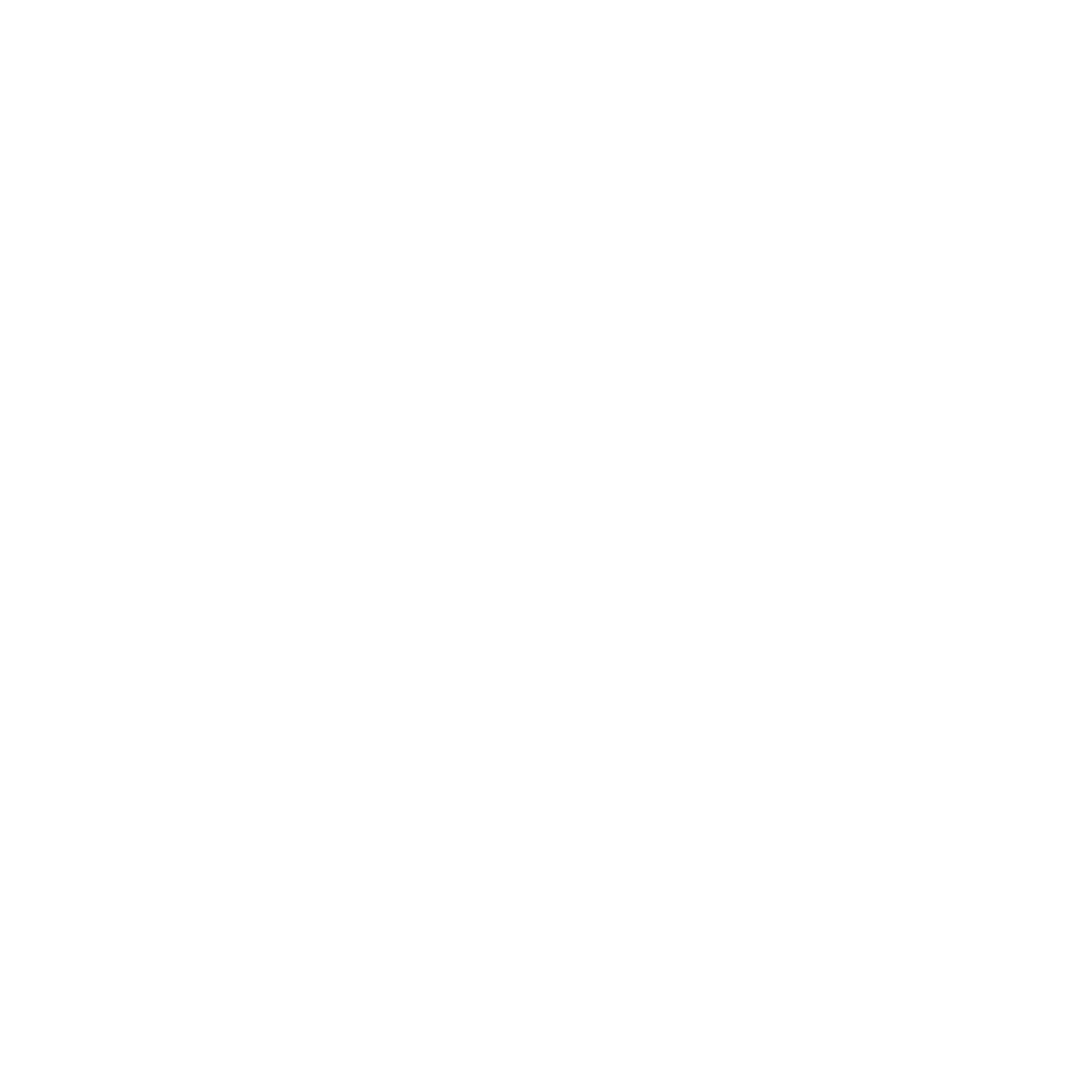 Logo Terra Crossfit blanco